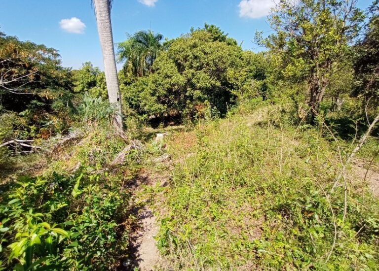 Solar en Palenque, San Cristóbal